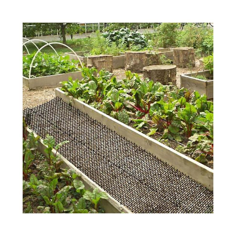 Tapis anti-creusement pour chat de 2 mètres avec picots et bandes épineuses pour protéger les plantes du jardin - Cadeau spécial