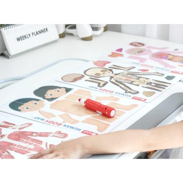 Карта человеческого тела, версия. 2 пазла, 1, 85 деталей, Korea Best Toddler Puzzle Puzzle