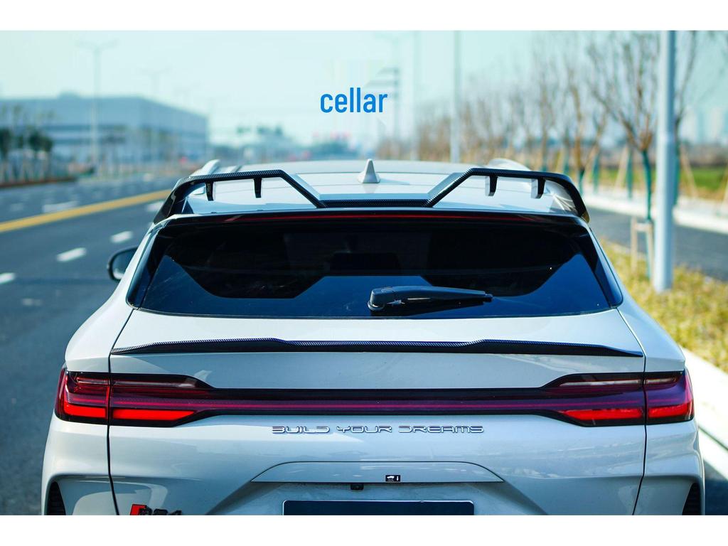 Compatible Roof and Tail Spoiler Kit for 23 BYD Song PLUS Models - Includes Rear Diffuser, Side Skirts, Front and Rear Lips.