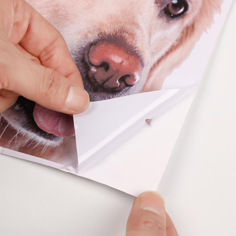 1PCS Vinyl Wall Art Fridge Decorations Dog Wallpaper Funny Animal Mural 3D Decal Wall Sticker