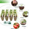 12-Cell Seedlings Tray Biodegradable Plant Pots Breathable Seeds Starter Tray with Tags And Tools for Flowers