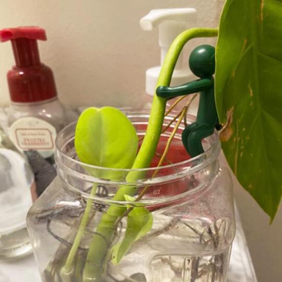 Plant Support Buddy Cuttings Plant Propagation Station Indoor Garden Human Shape Plant Stand Plant Lover Gifts for Sprouts Stems