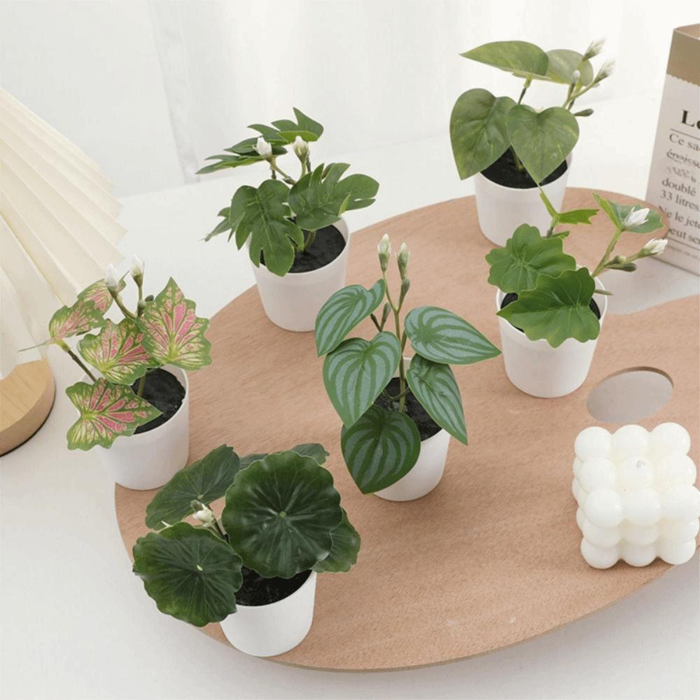 Green Green Plant Potted White Flowerpot Simulation Plant Potted Creative Desktop Ornament Gift