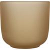 Seasons Wooden Glass Serving Tray