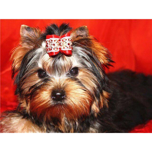 DIY 5D Алмазная картина Собака Вышивка крестиком Алмазная вышивка Продажа Животное Мозаика Стразы Фотографии