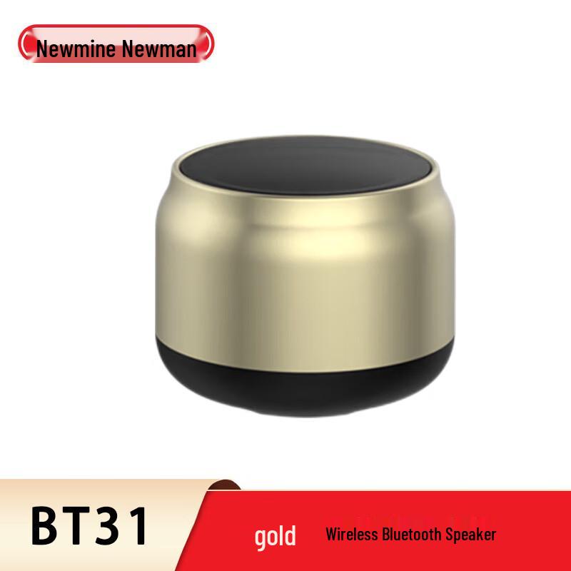 Портативная Bluetooth-колонка Newmine BT31, штекер CN (адаптер в комплекте)