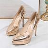 Women 12cm High Heels 2 .5cm Platform Fetish Gold Pumps Lady Wedding Bridal Plus Size Bling Heels Nightclub Silver Party Shoes