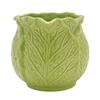 Celebrations The Cottage Garden Cabbage Milk Jug