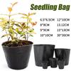 10/100PCS Garden Seedling Planting Cup Disposable Plants Nursery Pots Nutrition Bag Seed Pots Flowerpot Garden Accessories