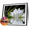 Белый лотос 5D DIY Алмазная мозаика Частичная выкладка круглыми стразами Картины Кристалл Креативное ручное настенное украшение