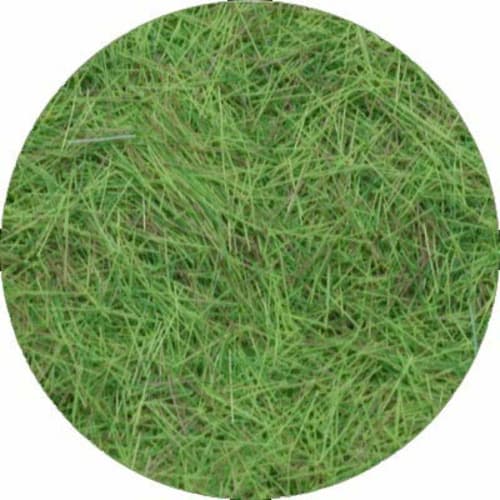 Platz/Noch Grass Pile, Standard Japanese Summer Grass Mix (Pile Length 4.0mm)