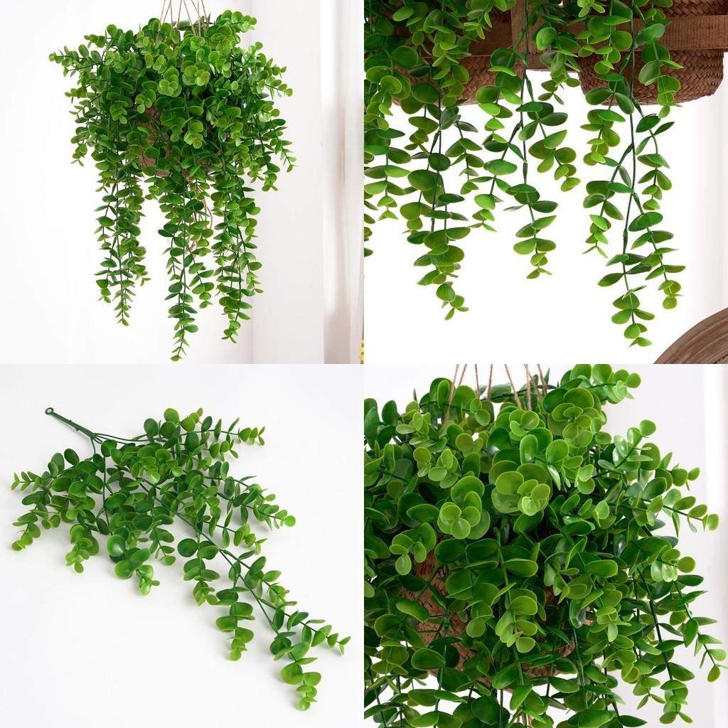 Настенное украшение из искусственного эвкалипта Citriodora с плетением из лозы для домашнего декора и фотосессий