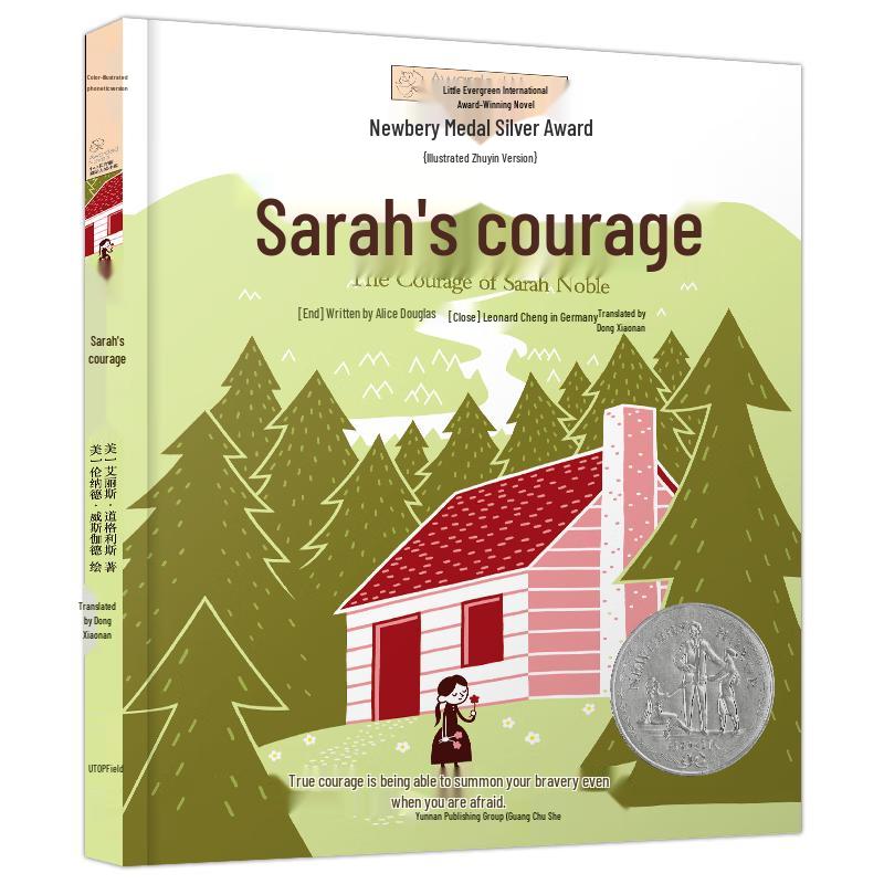 Little Evergreen International Award Novels (Pinyin Edition)