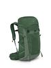 Osprey Talon 33L Men's Lightweight Hiking Backpack with Hipbelt, Green CanopyPine Leaf
