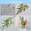 Artificial Salicaceae For Home Decor With Realistic Leaf Material For Wedding And Photography Props
