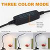 Clip-on Desk Lamp USB Table Lamp LED Light Flexible Reading Lamp For Art Reading Beauty Makeup