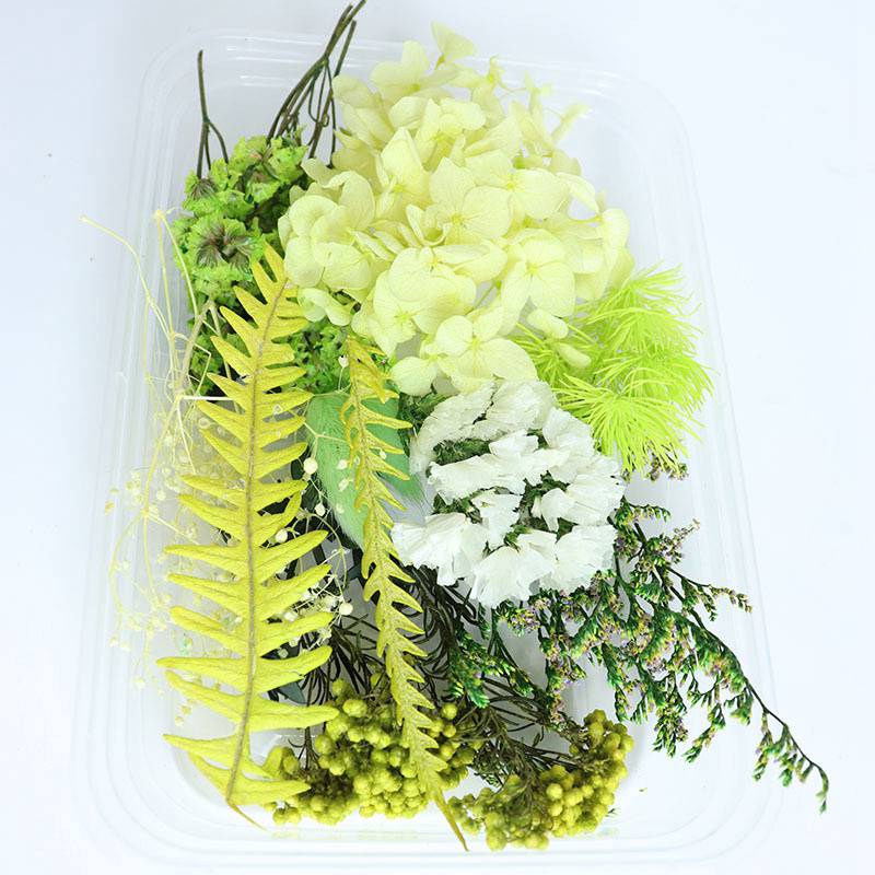 Preserved Fresh Flower Rabbit Tail Grass Dried Flower Hydrangea Dried Christmas DIY Material Package