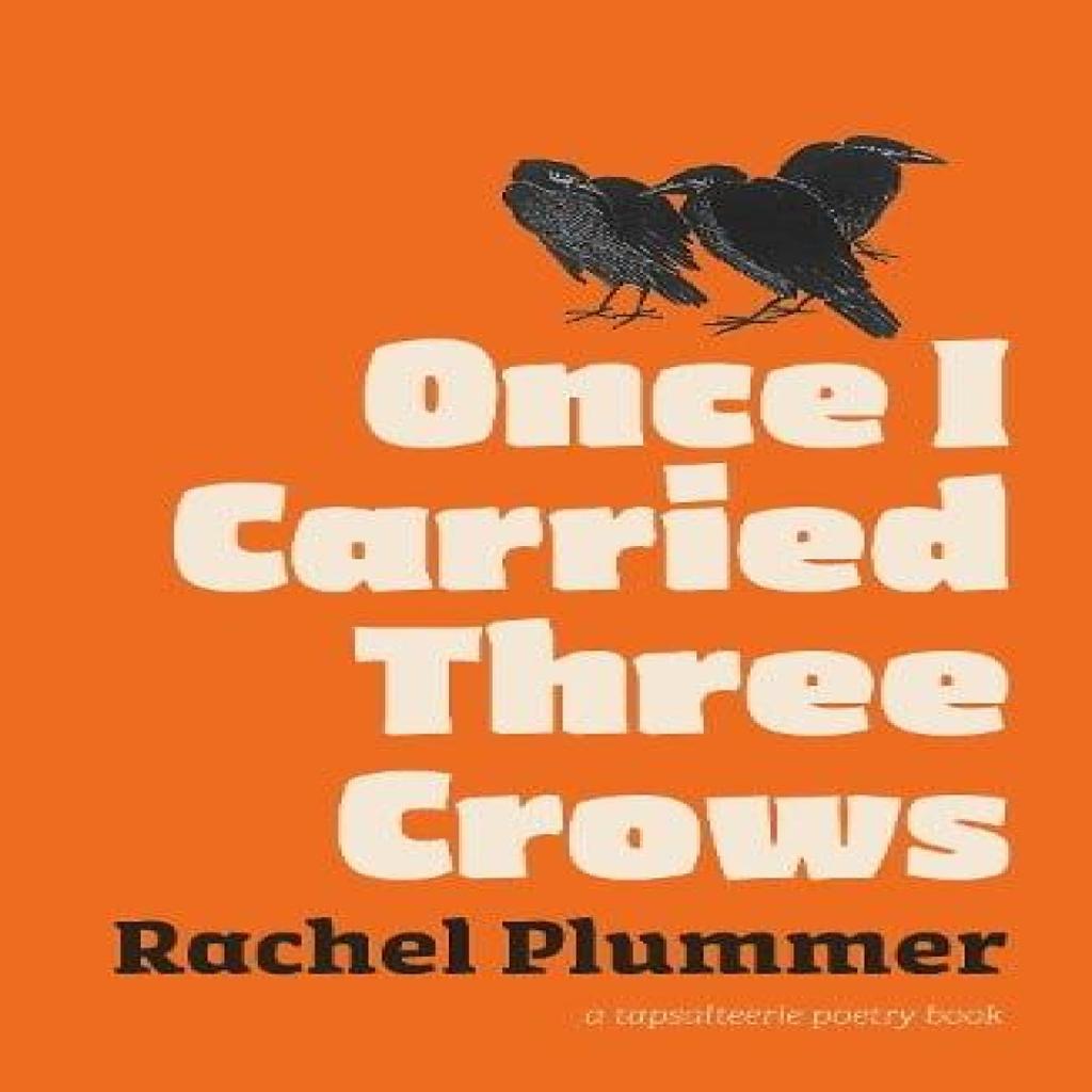 Once I Carried Three Crows by Rachel Plummer Paperback Book 9781738439614