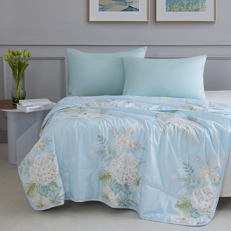 Mengjie Mugwort Antibacterial Summer Quilt