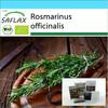 Подарочный набор - Органический - Розмарин - 40 семян - С подарочной коробкой, карточкой, этикеткой и субстратом для горшков - Rosmarinus officinalis