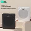 Soaiy Portable Voice Amplifier & Bluetooth Speaker CN plug (adapter included) (CN version)