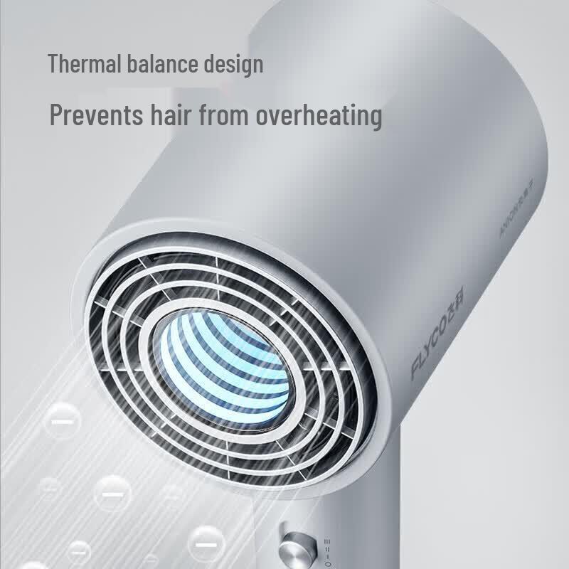 FLYCO FH6312 High-Speed Negative Ion Hair Dryer CN plug (adapter included)