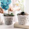 Clear Orchid Pot Reusable Orchid Flowerpot with Holes Plastic Ventilated Planter for Repotting Growing Indoor Outdoor Orchids