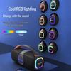 Newman N500 Portable KTV Bluetooth Speaker with Dual Mics CN plug (adapter included) (CN version)
