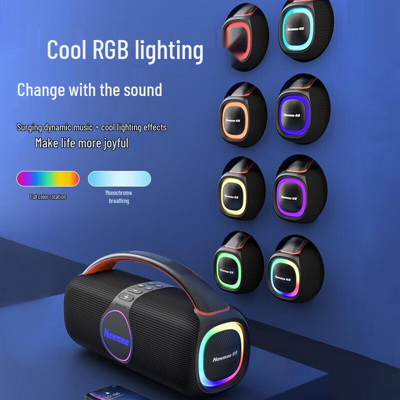 Newman N500 Portable KTV Bluetooth Speaker with Dual Mics CN plug (adapter included) (CN version)