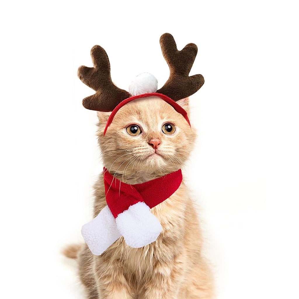 Funny Antler Headband Pet Headwear Photo Props with Scarf for Cats and Dogs for Holiday Photoshoots and Parties