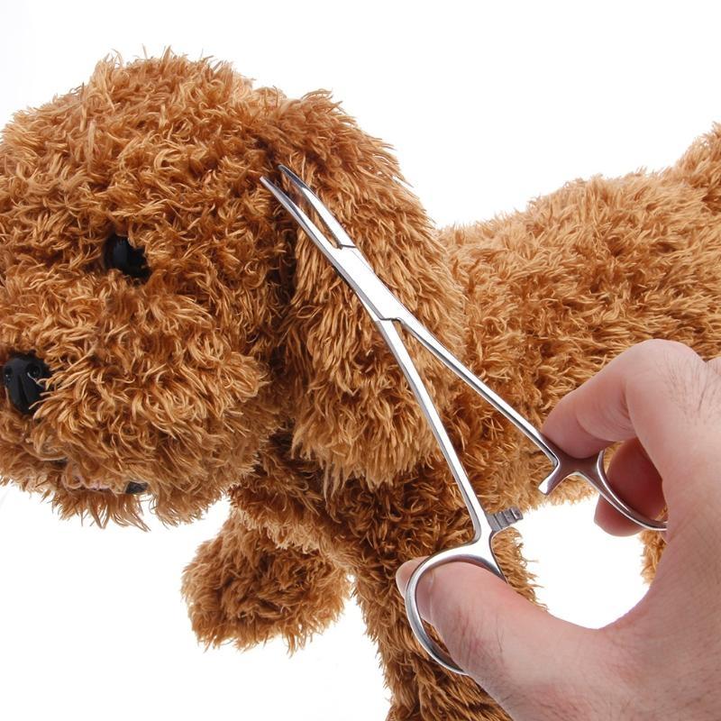 5.5" Pet Hair Scissors for Cat Gromming Scissors Flat Tip Stainless Steel Scissors Dog for Cat Hair Cutting Trimming Sci