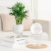 Removable Flowerpot Self Watering Mini Succulent Planter Light Luxury Tabletop Vase