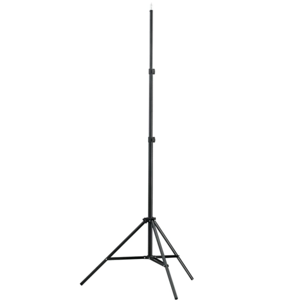 Photo Studio Set with White Background 600*300 cm and Lights