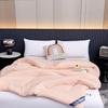 Jie Li Ya Cloud Feel Antibacterial Warm Core Quilt