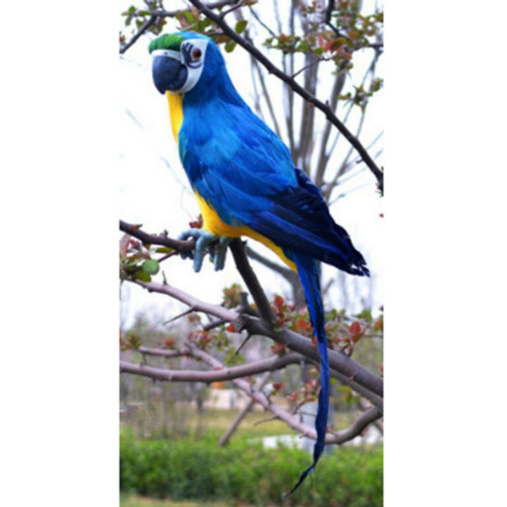 Искусственный попугай Витрина магазина Фотография Рождественская вечеринка Моделирование Подделка