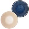 Minoru Pottery Mino Ware Albee 220 Plate Set (Navy and Beige)