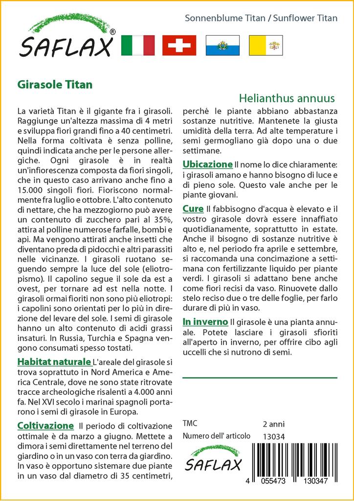 SAFLAX Подсолнечник Титан - 20 семян - Helianthus annuus