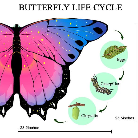 iROLEWIN Rainbow Fairy Butterfly-Wings-Costume for Toddler Kids Girls Dress-up Cape Mask Headband Boys Christmas Gifts Toys