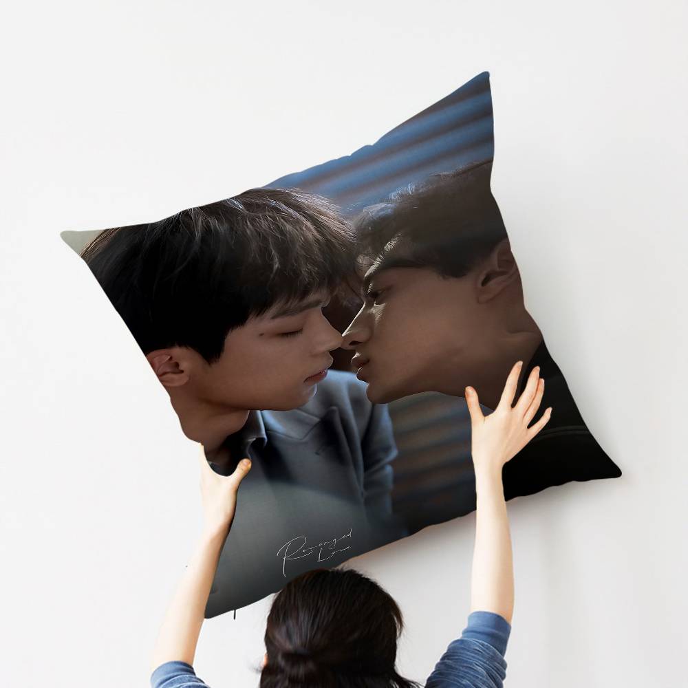 Подушки с принтами из мультфильма R-Revenged Love, декоративные чехлы для дивана, домашний декор, двусторонняя печать, короткий плюш, милые чехлы для подушек