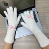 New Plush Gloves with Cute Bows Thickened Warm Knitted Gloves Winter Touch Screen Gloves Imitation Mink Fur