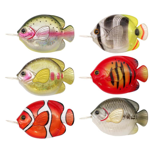 Caps FISH MEASURE FLAME ANGELFISH