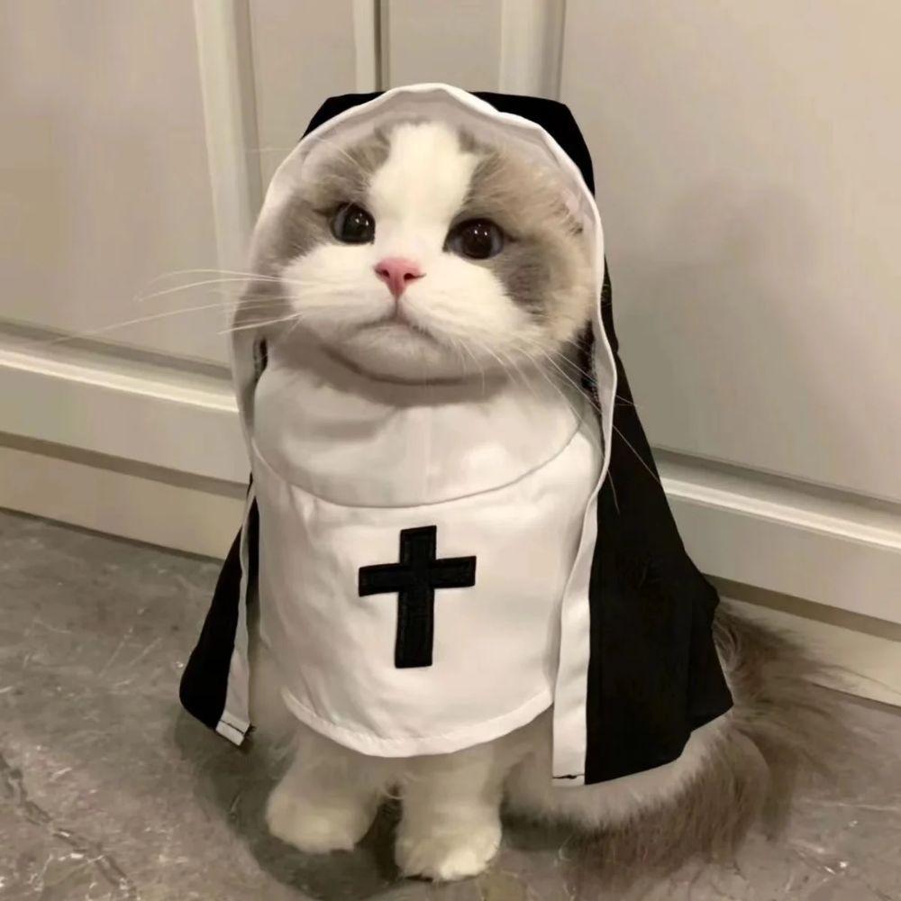 Soft Pet Nun Cloak Cat Puppy Cat Cosplay Costume Sets  Pet Supplies Clothing