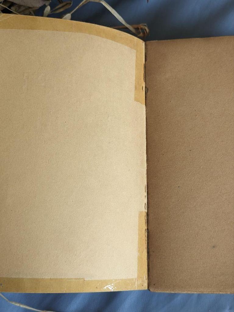 [USED] 1940s French "The Red and the Black" 2-volume set, Western books, antiques