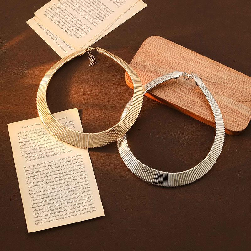 European and American Snake Bone Cold Wind Necklace Men's and Women's Trendy Cool Collar Versatile Collarbone Chain Necklace