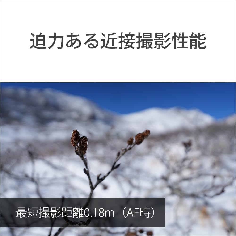 Sony Широкоугольный зум-объектив, полноразмерный объектив FE мм GG для цифровой однообъективной камеры, оригинальный объектив SEL1625G 16-25 F2.8 [крепление E]