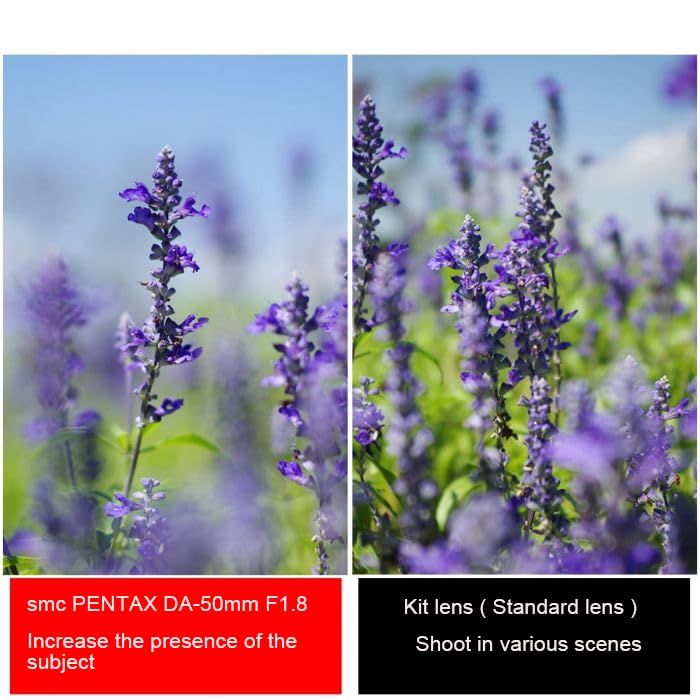 Pentax smc 50mm Medium Telephoto Prime Lens Image Bokeh and Circular and K Series Cameras Equipped with Image 22177 PENTAX-DA f/1.8 [For APS-C