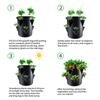 Spring Strawberry Growing Bag Vegetable Planting Bag Grow Pot Plant 7Gal Grow Bag Garden Terrace Breathable Container Bags