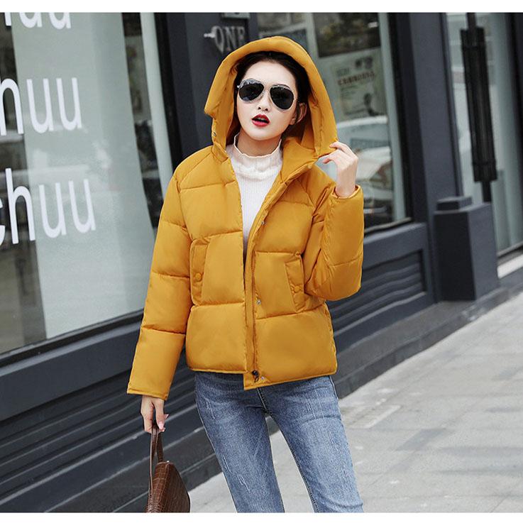 Зимняя новая одежда для отдыха с капюшоном на хлопковой подкладке, женская куртка с хлопковой подкладкой