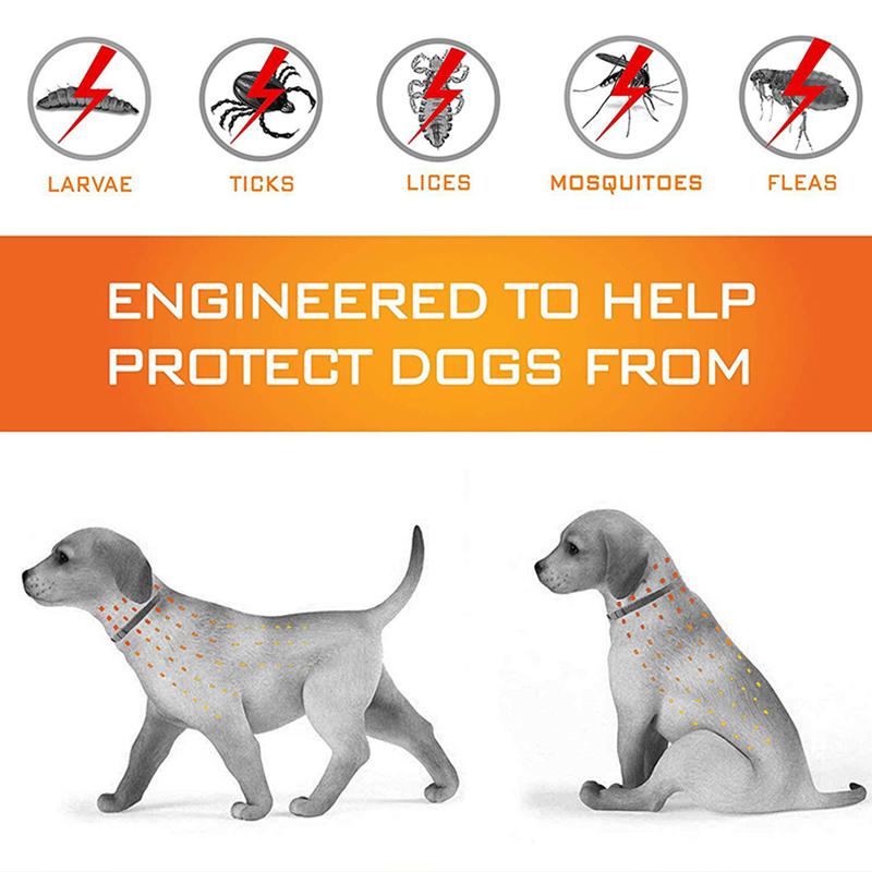 Fashion Prevention Collar Collar Dog / Cat Natural Pests Flea Adjustable Tick Control Pet Flea Collar Waterproof