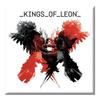 Магнит на холодильник с обложкой альбома Kings Of Leon Only By The Night